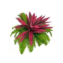Ryškus dirbtinis dracena Bostono papartis Realistiški lapai Atsparus UV spinduliams Dracenų medis Bostoniniai augalai Mažai priežiūros Atsparus blukimui žalia