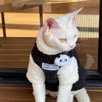 Autumn/Winter Warm Blue Cat Vest for Hairless Cats and Kittens S (4-5 lbs)