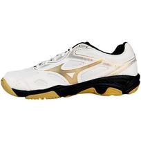 Mizuno Sky Blaster 'SlipResistant Durable Low Badminton' Sneakers 71GA234601 38 auksas