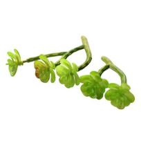 Yousheng Mini Artificial Succulents Realistic Fake Small Cactus Plants Colorful Faux Flocked Unpotted Plants for Garden Flower Pot Kitchen Home Decor N