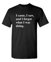 I Came I Saw I Forgot What I Was Sarcastic Humor Graphic Novelty Funny T Shirt M