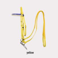 Adjustable Equestrian Bridle with Bit