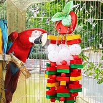 Bird Foraging Toys Bird Cage Toys Chewing Games Pet Supplies Parakeet Cage Accessories For Beak Grinding Climbing Indoor Outdoor China Mainland