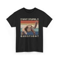 Project Hail Mary  Rocky Why Stupid Question  Retro and Neutral Oneck Tshirt   Cotton Short Sleeve  Yk  Tshirt S įvairiaspalvis