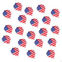 20 nacionalinių vėliavų skrydžių America