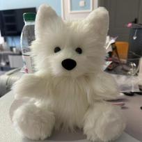 Recordable Samoyed Corgi Diy Doll Handmade Materials Pack Plush Puppy Doll Toys Holiday Gift for Women 30cm gray