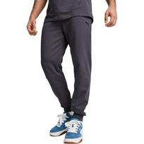 Puma Sportinės Kelnės Vyrams Rad/Cal Pants Galactic Gray 681621 69