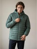 ADIDAS Žieminė vyriška striukė, PUFFER JKT