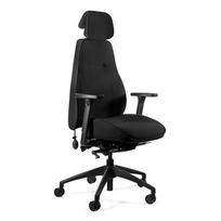 Ergonominė biuro kėdė ICE 3D, 150 kg, 24H/7