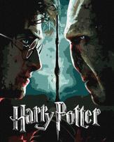 Tapyba pagal skaičius: „HARIS POTERIS“ Haris ir Voldemortas su metaliko dažais Warner Bros 40x50 dėžutėje