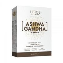 LOTOS PREMIUM maisto papildas ASHWAGANDHA KSM-66, 30 kaps.