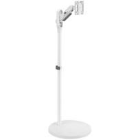 Maclean mobilus televizoriaus monitoriaus stovas MC970W, 17-35 colių, VESA 75x75mm, 100x100mm, maksimali apkrova 10kg, baltas