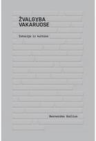 Žvalgyba Vakaruose. Istorija ir kultūra. E.knyga - Bernardas Gailius