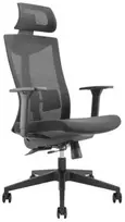 Lumi Legend Corporation Biuro kėdė - Lumi Legend High-Back Mesh Chair with Lumbar Support, Juodas