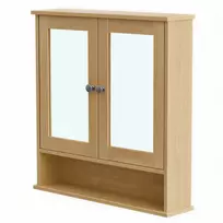 Koduva Pakabinama vonios kambario spintelė su veidrodžiu, 2 veidrodinės durys, 13 x 56,5 x 58,5 cm