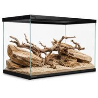 Stiklinis terariumas, Terrario Frevo Clear, skaidrus, 50 × 30 × 30 cm