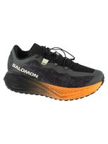 SALOMON Vyriški bėgimo batai, AERO GLIDE 4 GRVL L45406300