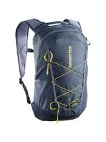SALOMON Kuprinė, XT 15 BACKPACK LC2858300