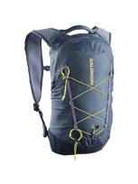 SALOMON Kuprinė, XT 10 BACKPACK LC2858900