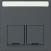 Central plate for 2xRJ45-Connector, anthracite, SystM MTN466514 | 3606485005133
