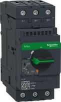 Motor circuit breaker,TeSys Deca frame 3,3P,9-13A,thermal magnetic,EverLink terminals GV3P13 | 3389119405355