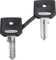 Key, Harmony XB4, replacement accessory, for selector switch and emergency stop push button, Dom 8D1 ZBD8D1 | 3389110092554