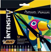 FLOMASTERIAI BIC INTENSITY FINE 12SPALVŲ