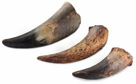 Skanėstas šunims Grizy Horns, jautiena, 0.5 kg
