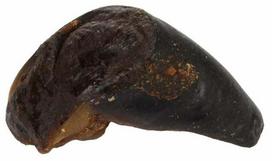 Skanėstas šunims Flamingo Nature Buffalo's Hoof, buivolo mėsa