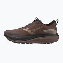 Moteriški bėgimo batai Mizuno Wave Rider Tt 4 peppercorn/simply taupe/black