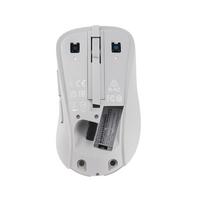 ASUS Wireless Mouse MD102 kompiuterio pelė Universalus Dešinės rankos RD belaidis ryšys + „Bluetooth“ Optinis 1600 DPI