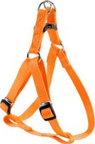 Petnešos šunims Zolux Nylon Vest-Shape, oranžinė sp., 10 mm
