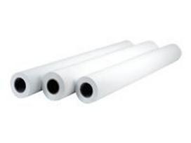 HP Professional Matte Canvas Matte 22 mil Roll 106.7cm x 15.2m 390g/m2 1 roll canvas paper