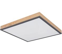 Globo 416080WD2-CCT - LED dimeriuojamas lubinis šviestuvas DORO 24W/230V 3000-6500K 45x45 cm