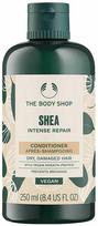 The Body Shop Conditioner Shea sviestmedžių atkuriamasis plaukų kondicionierius, 250 ml