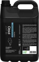 Dr Lucy PRO FLUFFY SHAMPOO 5L FOR INCREASING HAIR VOLUME