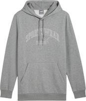 Puma Bluza męska Puma Ess+ Logo LAB Gradient Hoodie FL szara 681775 03 M