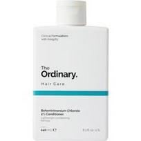 The Ordinary - Behentrimonium Chloride 2% Conditioner Plaukų kondicionieriai 240 ml unisex