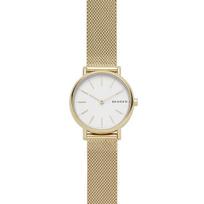 Moteriškas laikrodis Skagen SKW2693