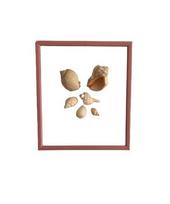 Sienų dekoracija Jūros Kriauklės Handcrafted