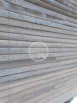 Pakalimo lentutė deginta grafitas