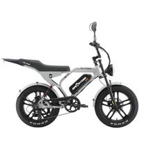 Elektrinis dviratis Ape Ryder Mandrill Ultra, L, 20", 250 W, 15 Ah, pilka sp.