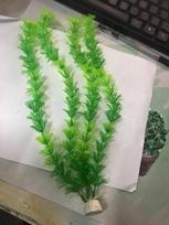 Pet Supplies Create A Natural Underwater Environment Environmentally Friendly Aquarium Plants Premium Quality Underwater Plants