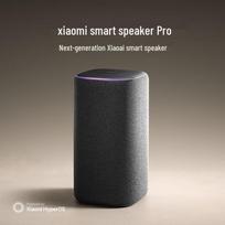 Xiaomi Smart Speaker Pro CN plug (adapter included) (CN version)