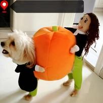 Naminių gyvūnėlių Helovino suknelė, moliūgų drabužiai, šunų Cosplay kostiumai M oranžinė