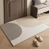 Living Room Carpet Household Carpet Dirt Resistant Easy To Maintain Large-sized Carpet 80 * 100cm