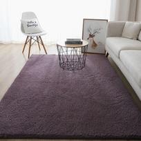 Contemporary Style Thickened Fluffy Carpet Living Space Coffee Table Bedroom Tatami NonSlip Absorbent White Floor Mat Bathroom Entrance Doormats 40x60cm 15x23inch gray