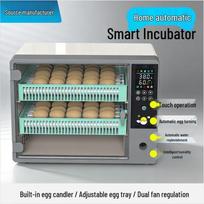 Automatinis išmanusis kiaušinių inkubatorius viščiukams, antims, žąsims, balandžiams ir papūgoms UK Standard 24-piece ZhiZhen Model Single Battery