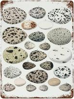 Birds Eggs Vintage Metal Plaque Sign Retro Poster Vintage Metal Tin Signs For Women Men Garden Wall Decor for Home Bathroom Man 20x30cm（7.8x11.8inch）