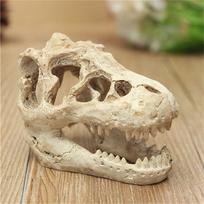 Dervos krokodilo kaukolės terariumas ropliams, žuvų akvariumo ornamentas, akvariumo dekoracija